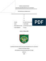 Jurnal Praktikum Ddpt Ruskai