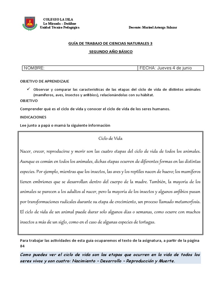 Guía De Ciencias Segundo Básico 3 Pdf Vida Insectos