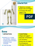 Skeleton: Skeleton Includes Bones and Cartilages. It Forms The Main Supporting Framework