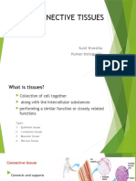 Connective Tissues: Sunil Shrestha Human Biology
