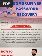 Roadrunner Password Recovery