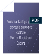 Anatomie fiziologie a pielii