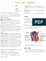 Resumos Biologia - Sistemas Transporte