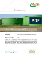 Agriforenergy 2 International Biogas and Methane Report en