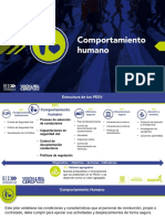 Estructura PESV: Comportamiento Humano, Vehículos, Infraestructura, Atención Víctimas