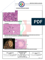 Pathology Important Images: Medical Academy