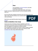 proses metabolisme manusia