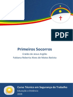 eBook SEG - Primeiros Socorros [ETEPAC 2021]