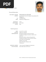 Curriculum Vitae: Personal Information