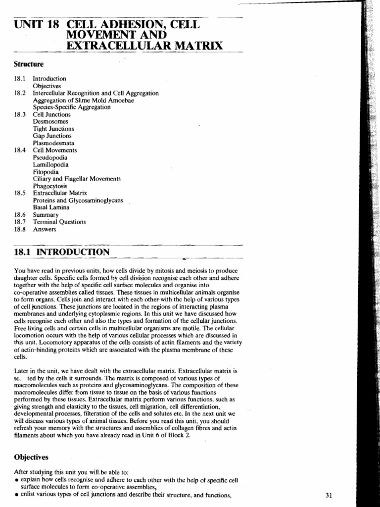 Cell Adhesion, Cell Movement and Extracellular Matrix | PDF ...