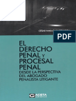 El Derecho Penal y Procesal Penal- César Nakasaki Servigón