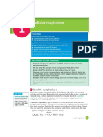 Edexcel A Level Biology Student Book 2