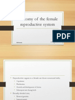 Anatomy External Female Genitalia-Converted-1