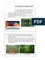 Clima Quente Equatorial