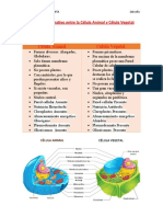 Cuadro Comparativo