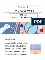 BIO121 Chapter 9 From DNA To Protein