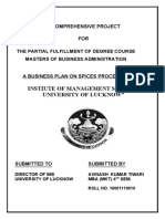 Comprehensive Business Plan for Spices Processing Unit