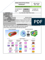 Actividades Nivelacion Biologia Segundo