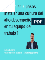 ¿COMO EN 6 PASOS INSTALAR UNA CULTURA DEL ALTO DESEMPEÑO EN TU EQUIPO?