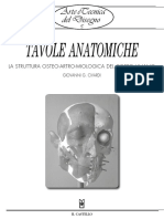 Tavole Anatomiche