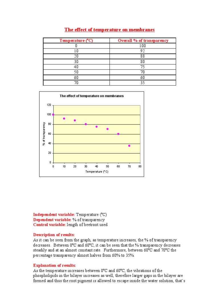 The Effect of Temperature On Membranes - Biology Practical - AS Edexcel ...