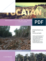 Deforestación en La Peninsula de Yucatán
