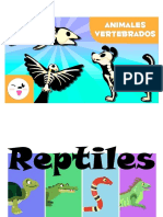 Animales Vertebrados Dibujos