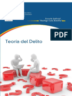 Teoria Del Delito Preparatorio