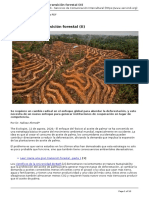 servindi_hacia_una_gran_transicion_forestal_ii_-_2020-08-12
