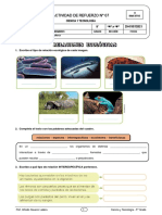 Actividad de Refuerzo N 07 - Relaciones Ecologicas - 5 Grado - 2021