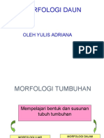 94172430-MORFOLOGI-DAUN Oke 1