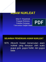 Asam Nukleat