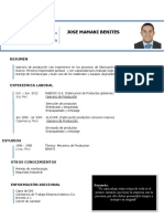 Modelo de Curriculum Vitae Simple