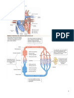 Ilovepdf Merged