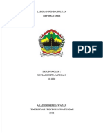 PDF Laporan Pendahuluan Nefrolitiasis DD