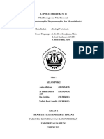 Kelompok 2 - Zoologi Vertebrata - Laporan Praktikum 14