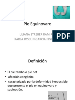 Pie Equinovaro