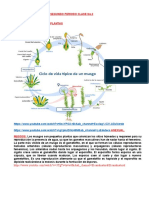 Ciencias Octavo Reproduccion en Plantas, Clase 3 Segundo Periodo