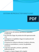 SISTEMA REPRODUCTOR, ENDOCRINO