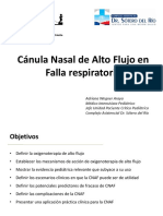 CNAF-ppt