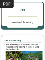 Tea Production Workflow Process | PDF | Tea | Hot Drinks