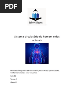 Sistema circulatório do homem e dos animais !!!!!!!!!!!!!!!!!