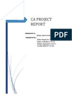 CA Final Report