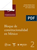 Archivos_Bloque de Constitucionalidad