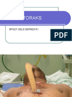 Trauma Thoraks PPGD