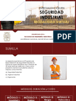 Especialización en Seguridad Industrial UNMSM