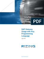 CI SAP Gateway Usage