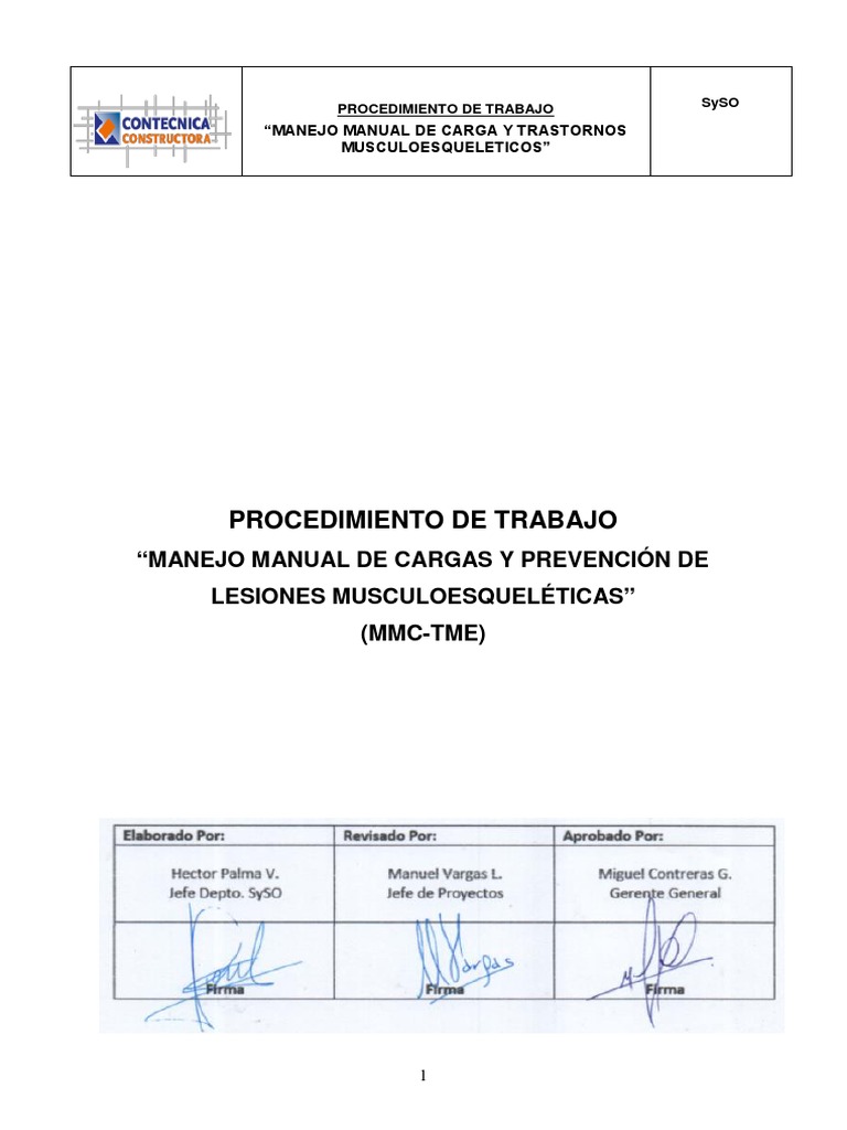 PTS Manejo Manual de Cargas | PDF | Dolor lumbar | Fuerza