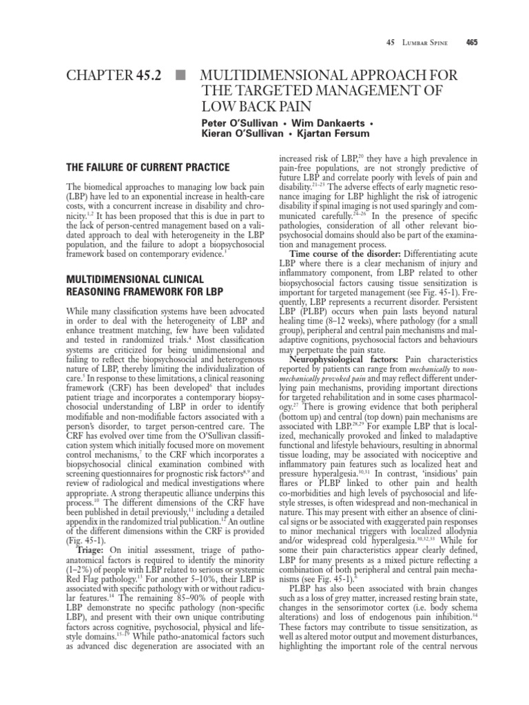 ReferenceMaterials O'Sullivan | PDF | Pain | Low Back Pain