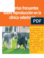 6091467 3Reproduccion en La Clinica Veterinaria